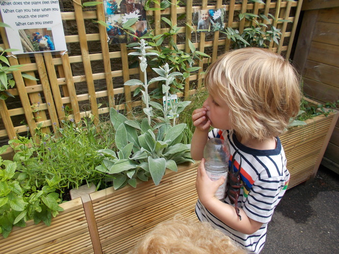 Sensory Garden